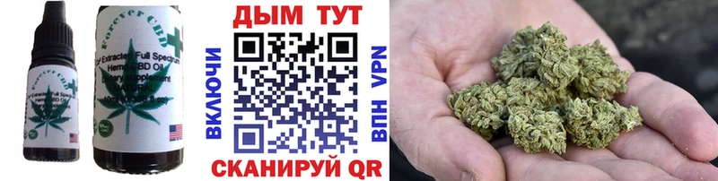 Купить  Оленегорск  Cannafood конопля 