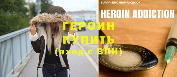 стаф Ельня