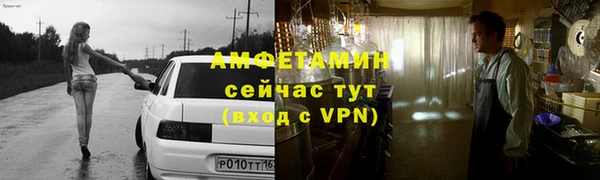 стаф Ельня