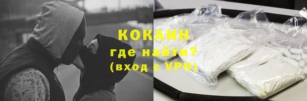 стаф Ельня