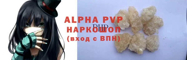 стаф Ельня