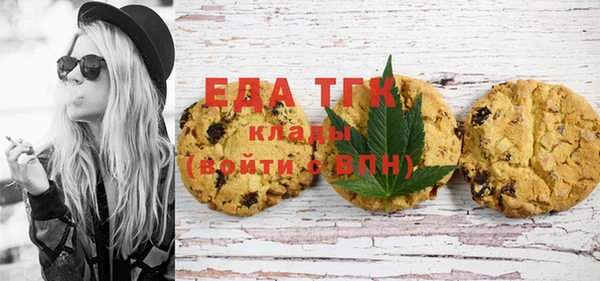 стаф Ельня