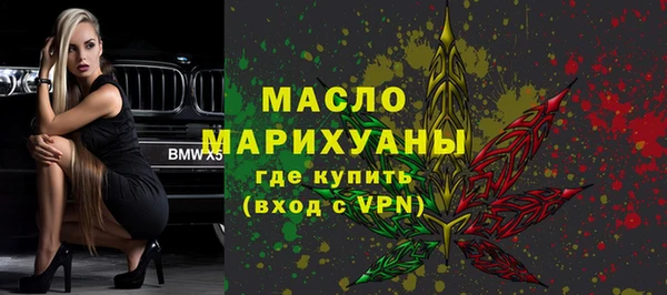 стаф Ельня