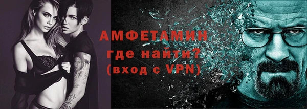 стаф Ельня