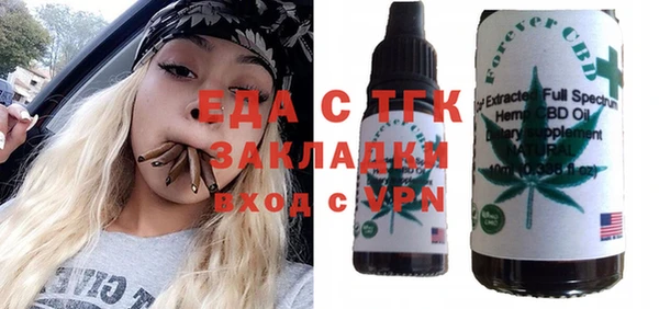 стаф Ельня