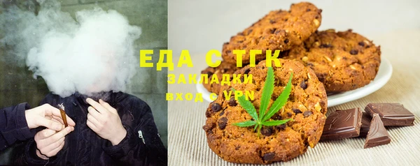 стаф Ельня