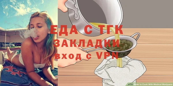 стаф Ельня