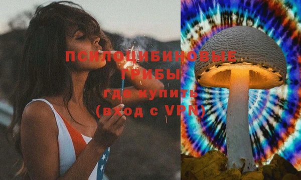 стаф Ельня