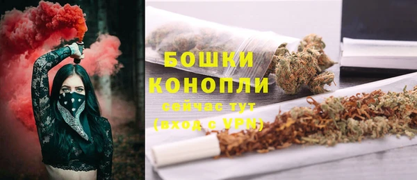 стаф Ельня