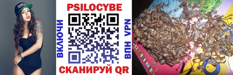 Псилоцибиновые грибы Psilocybe  Купить  Оленегорск 